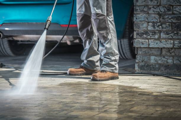 Best Pre-Holiday Cleaning  in Logan, UT